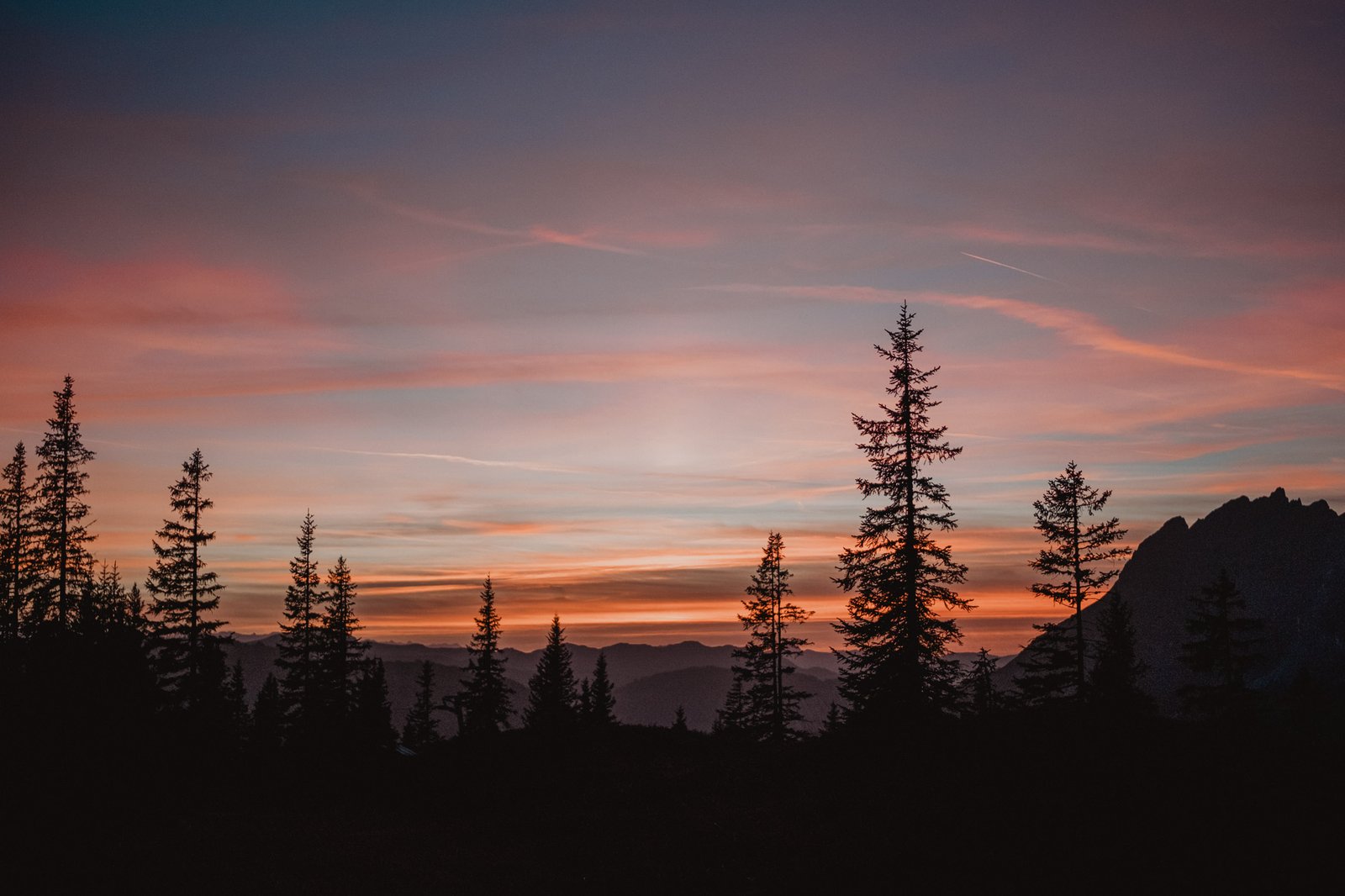 Rosafarbener Abendhimmel über Bäumen und Berggipfeln.