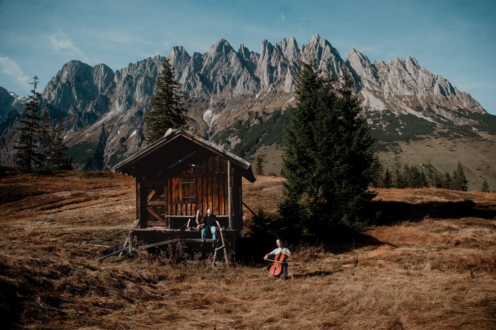 Kleine hölzerne Berghütte im Gras.