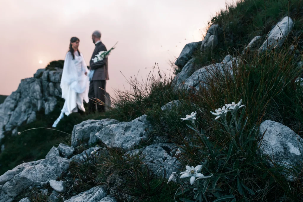 Couple walking among rocks and alpine flowers on a mountain slope.